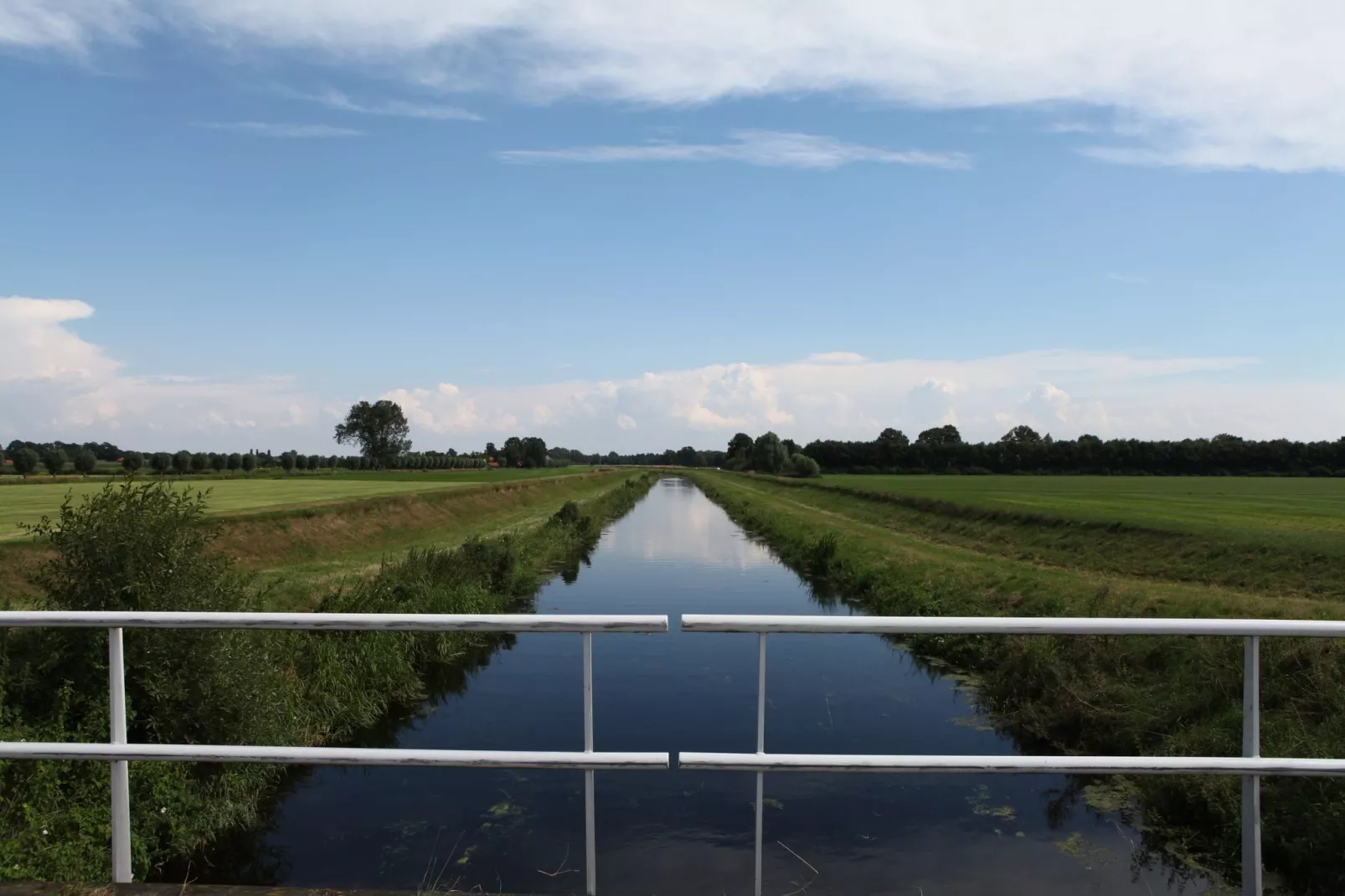 Bungalow Bosrijk-Gebieden zomer 20km