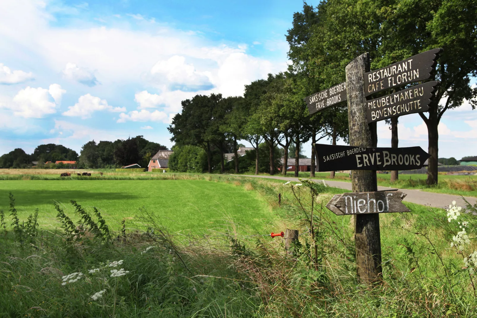 Bungalow Bosrijk-Gebieden zomer 20km