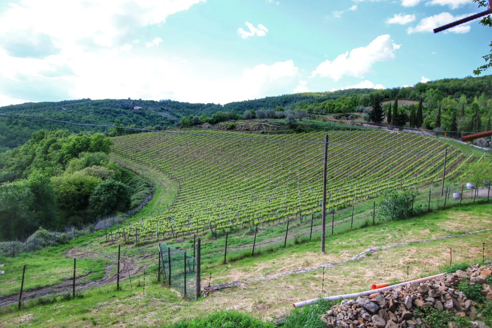 Landelijk appartement in Montepulciano met een zwembad-Gebieden zomer 1km