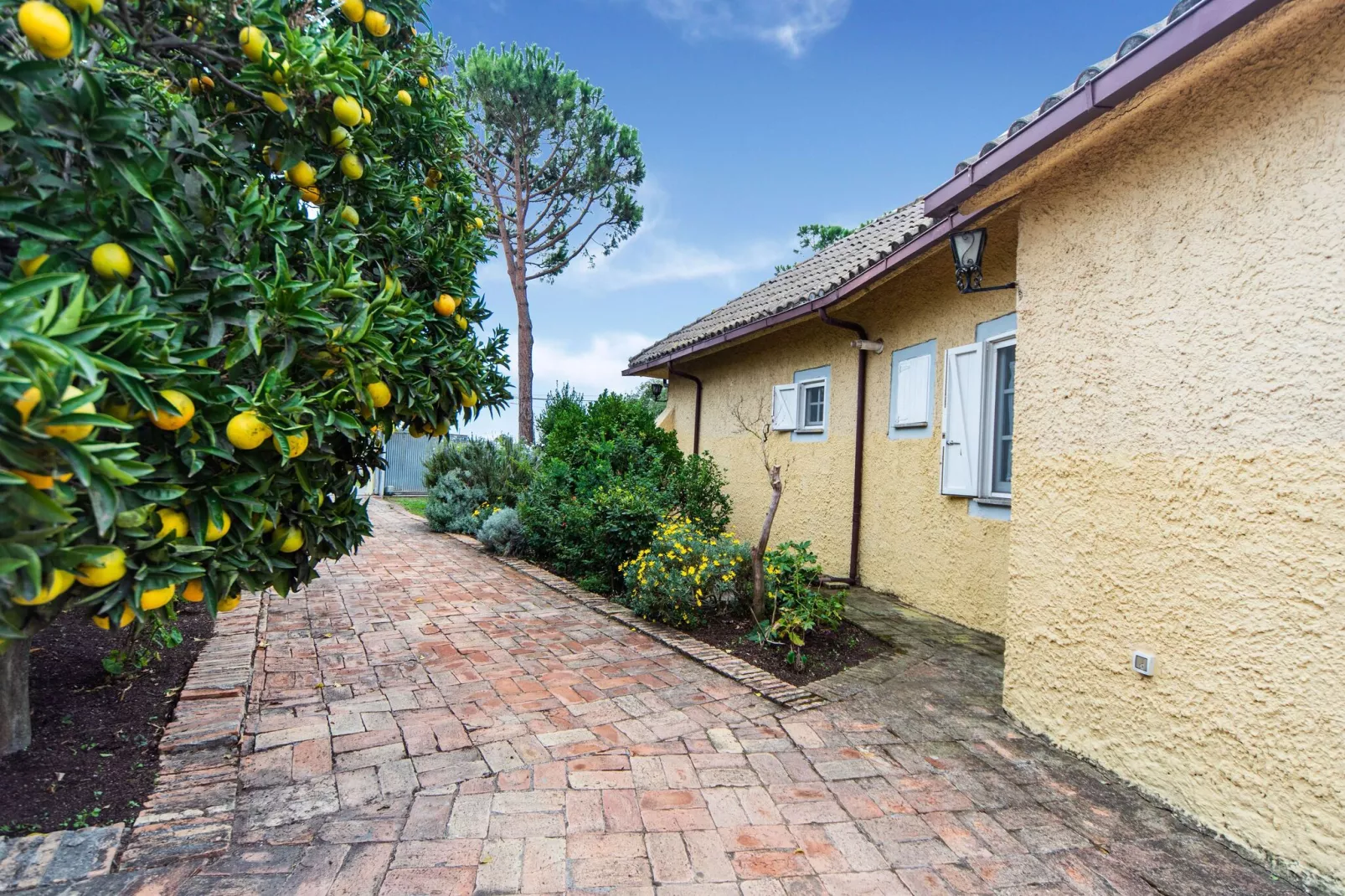 VILLA TADDEI-Buitenkant zomer