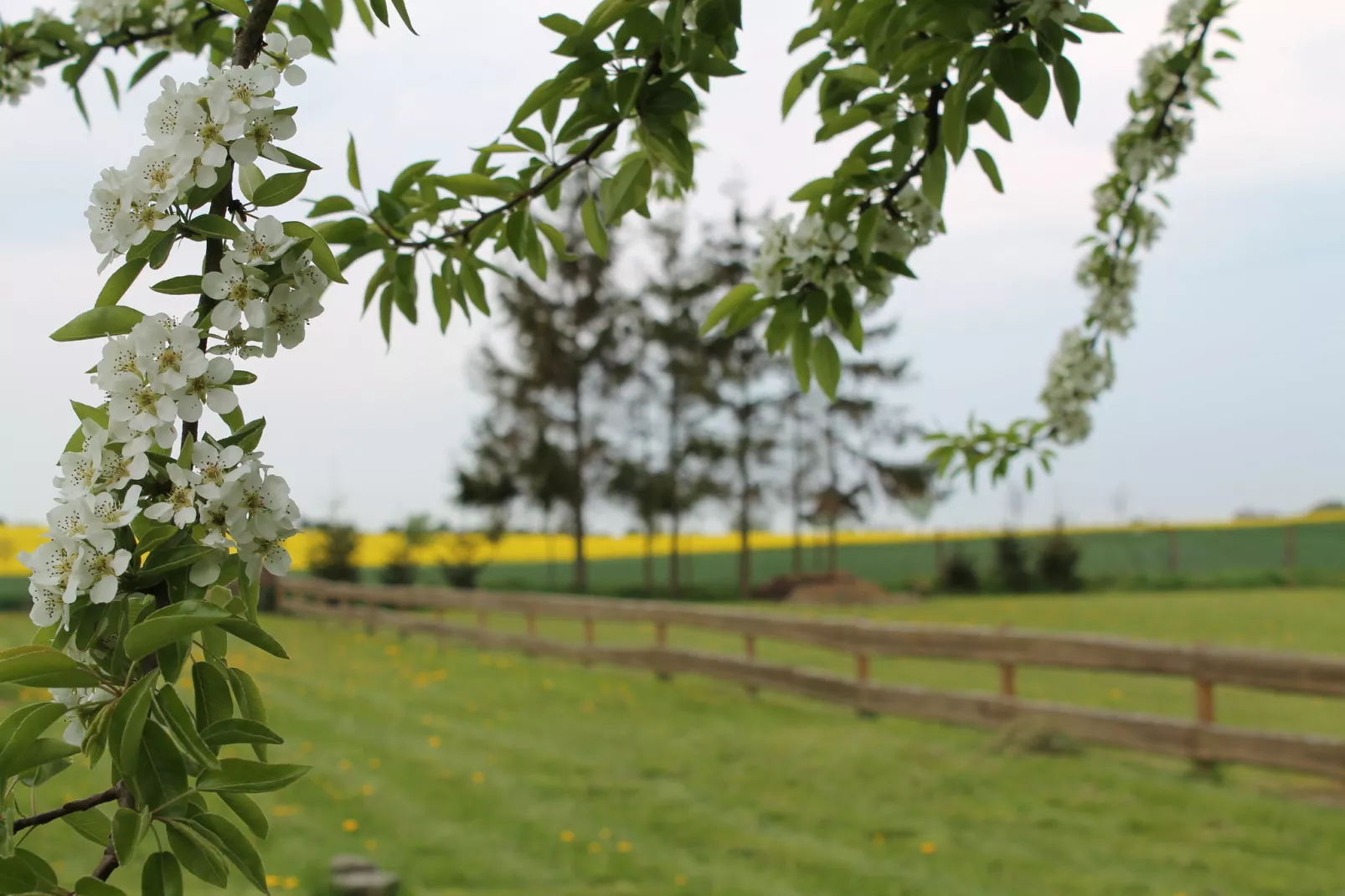 Hohenkirchen mit Garten Terrasse und Strandkorb-Gebieden zomer 5km