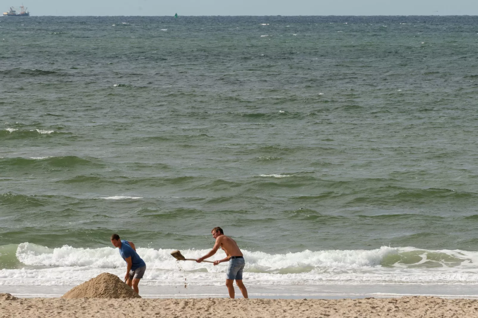 De Strandvogel-Gebieden zomer 1km