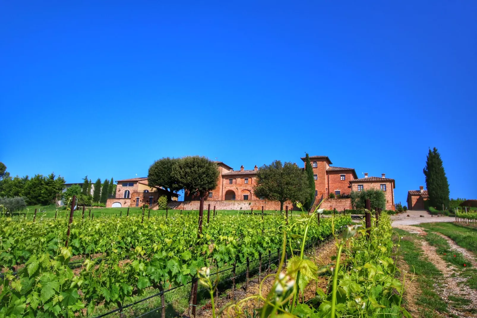 Sfeervol appartement in Montepulciano met zwembad-Buitenkant zomer