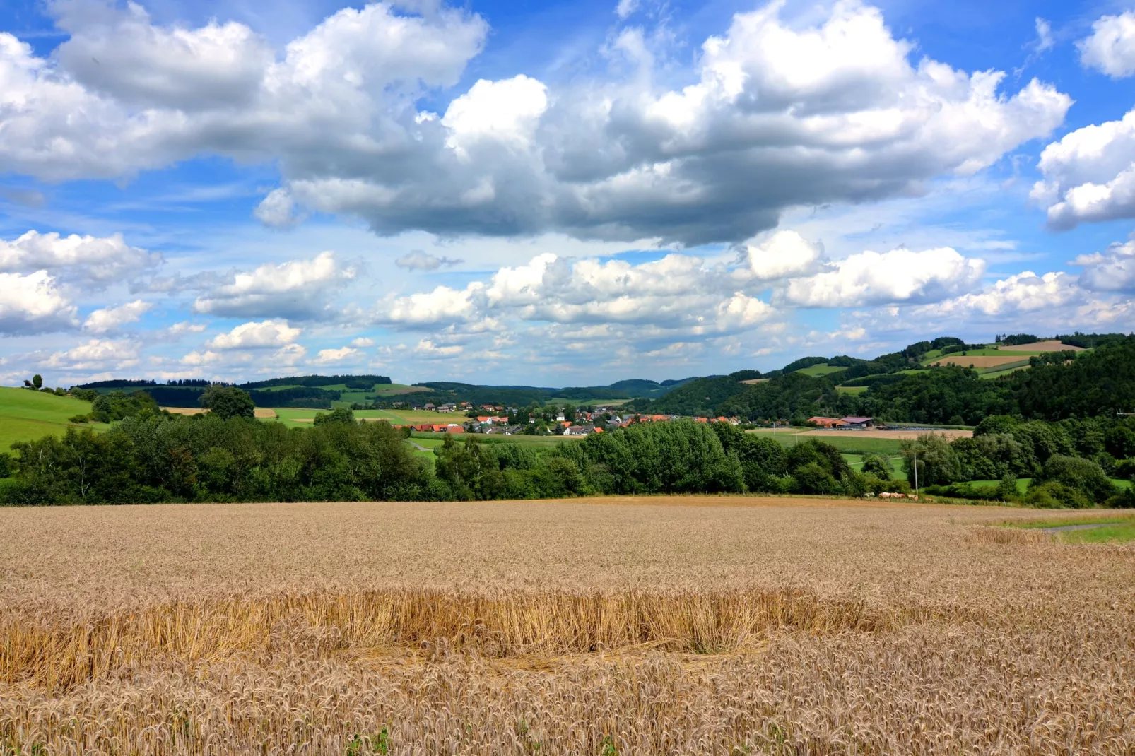 Zum Spitzen Land-Gebieden zomer 5km