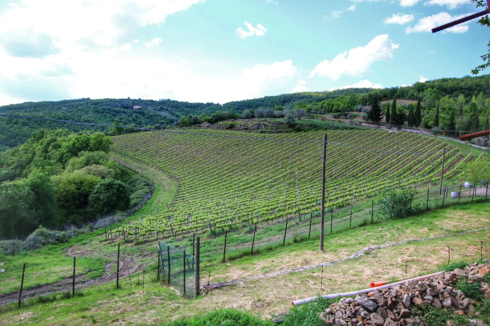 Sfeervol appartement in Montepulciano met zwembad-Gebieden zomer 1km