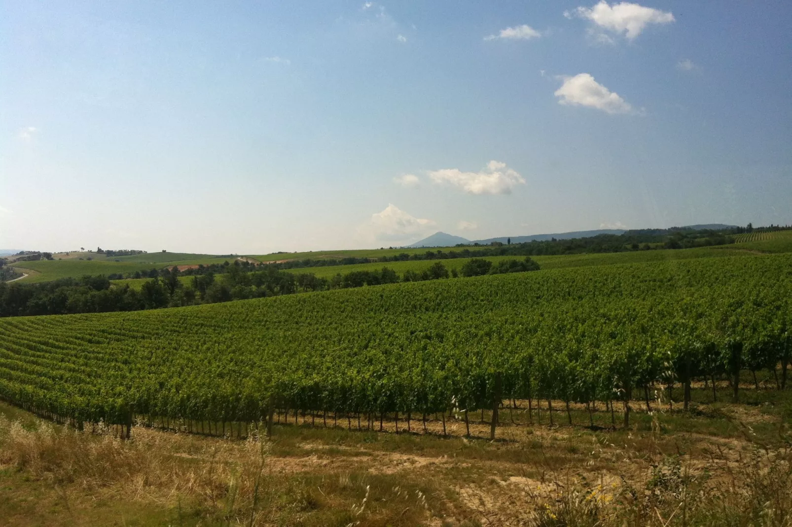 Sfeervol appartement in Montepulciano met zwembad-Gebieden zomer 5km