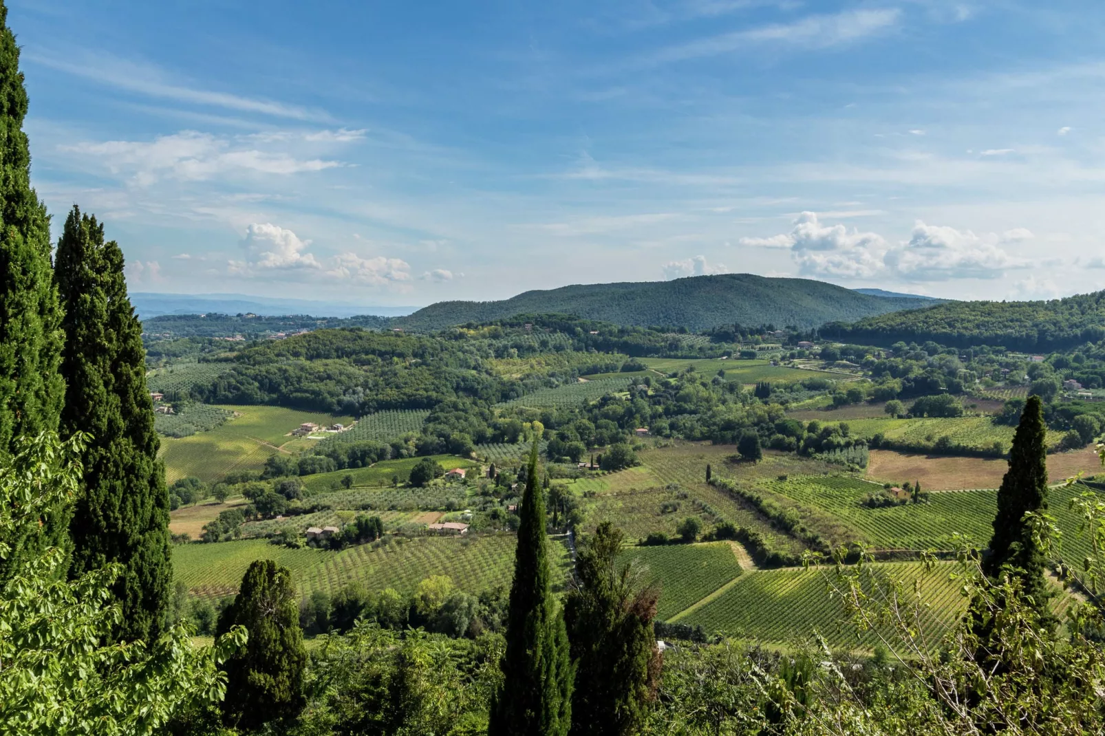 Sfeervol appartement in Montepulciano met zwembad-Gebieden zomer 5km