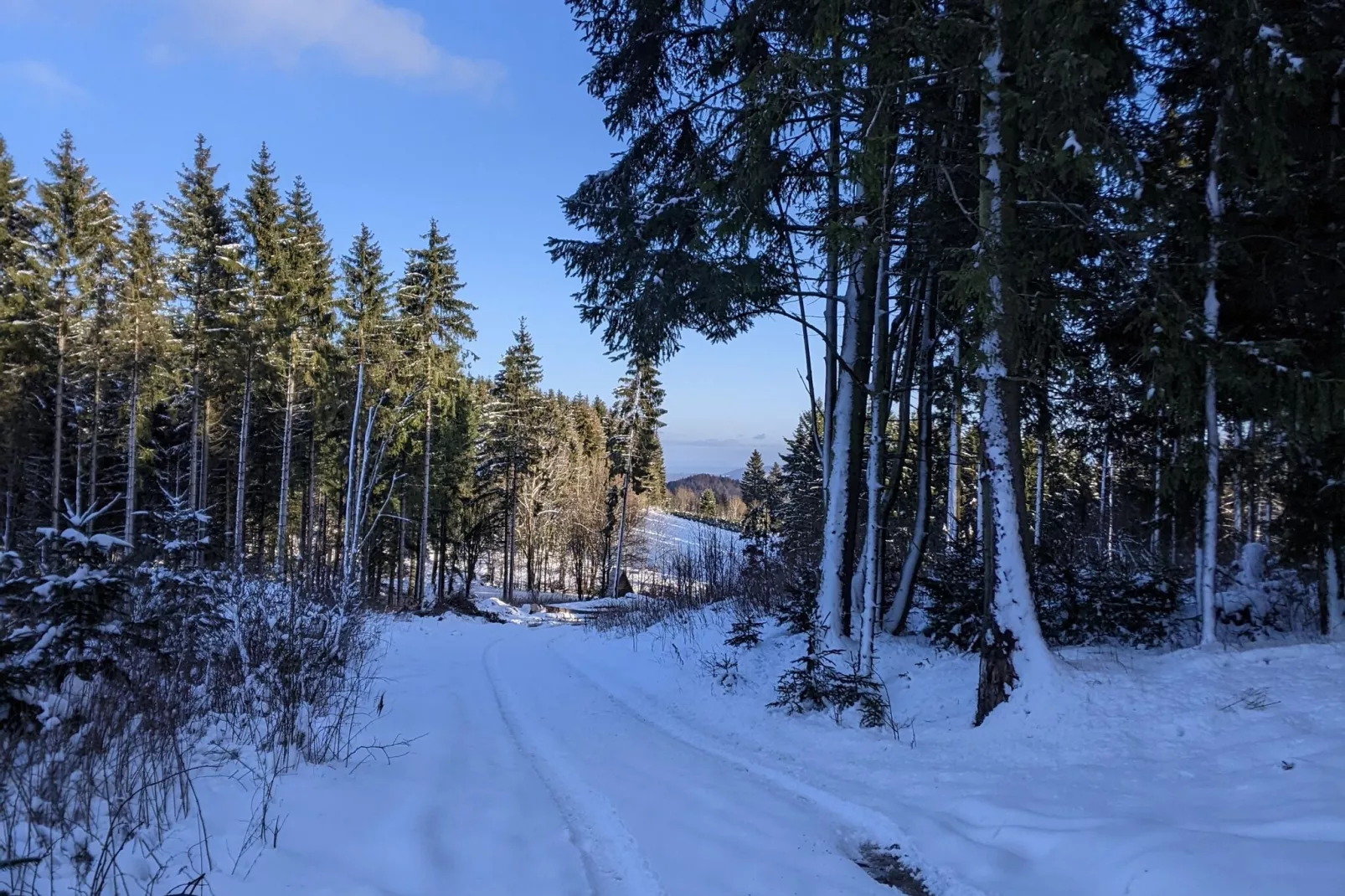 Zum Spitzen Land-Uitzicht winter