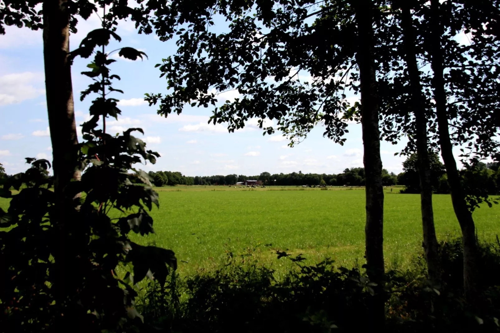 Ferienwohnung Moorhusen-Uitzicht zomer