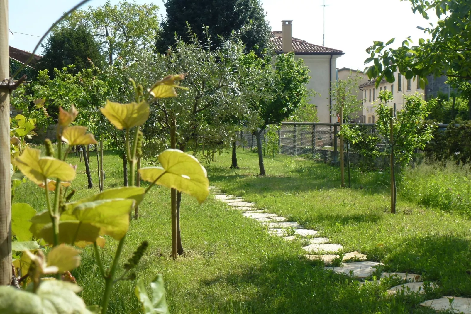 Casa sul Piave-Tuinen zomer