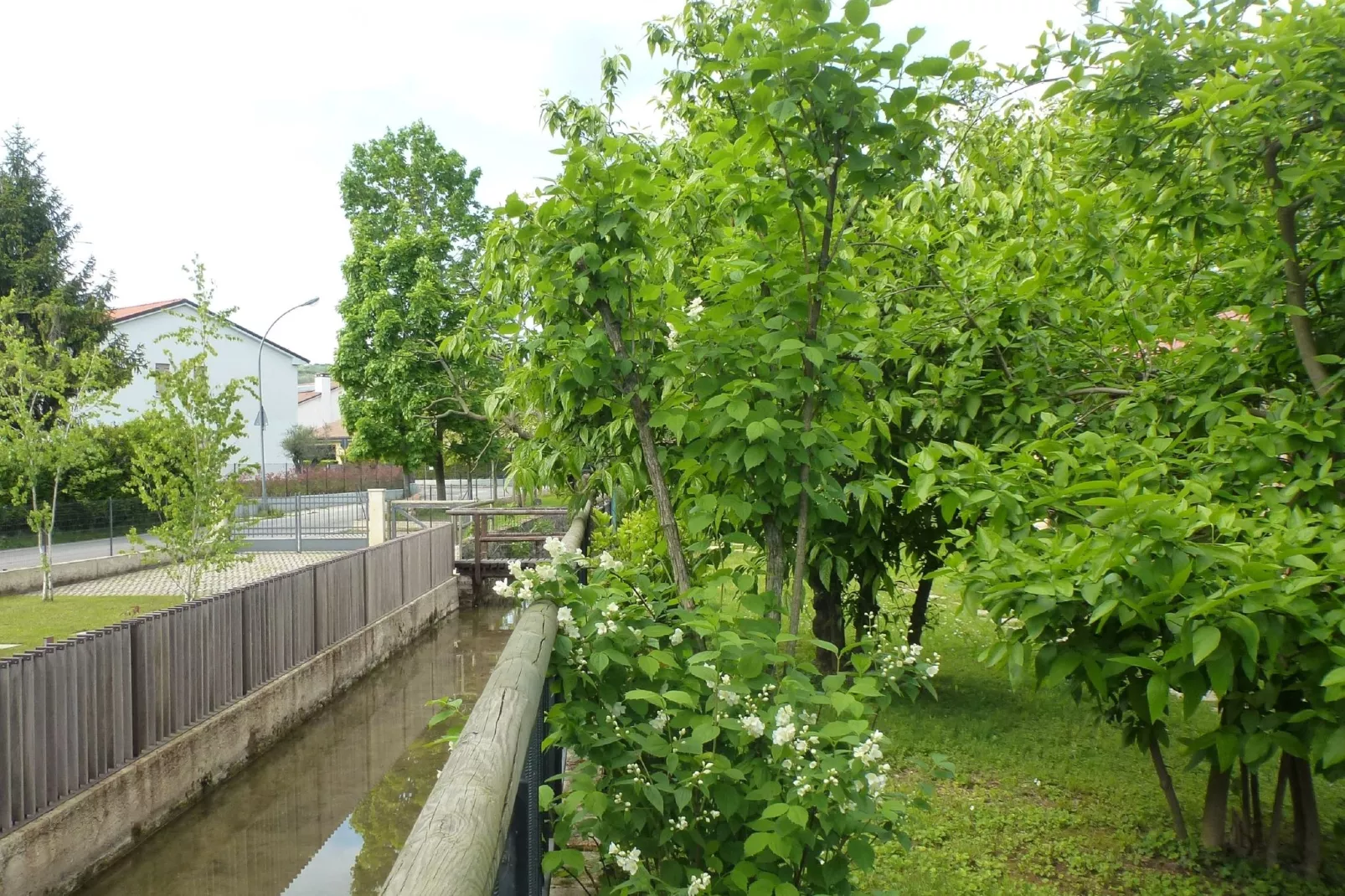 Casa sul Piave-Tuinen zomer