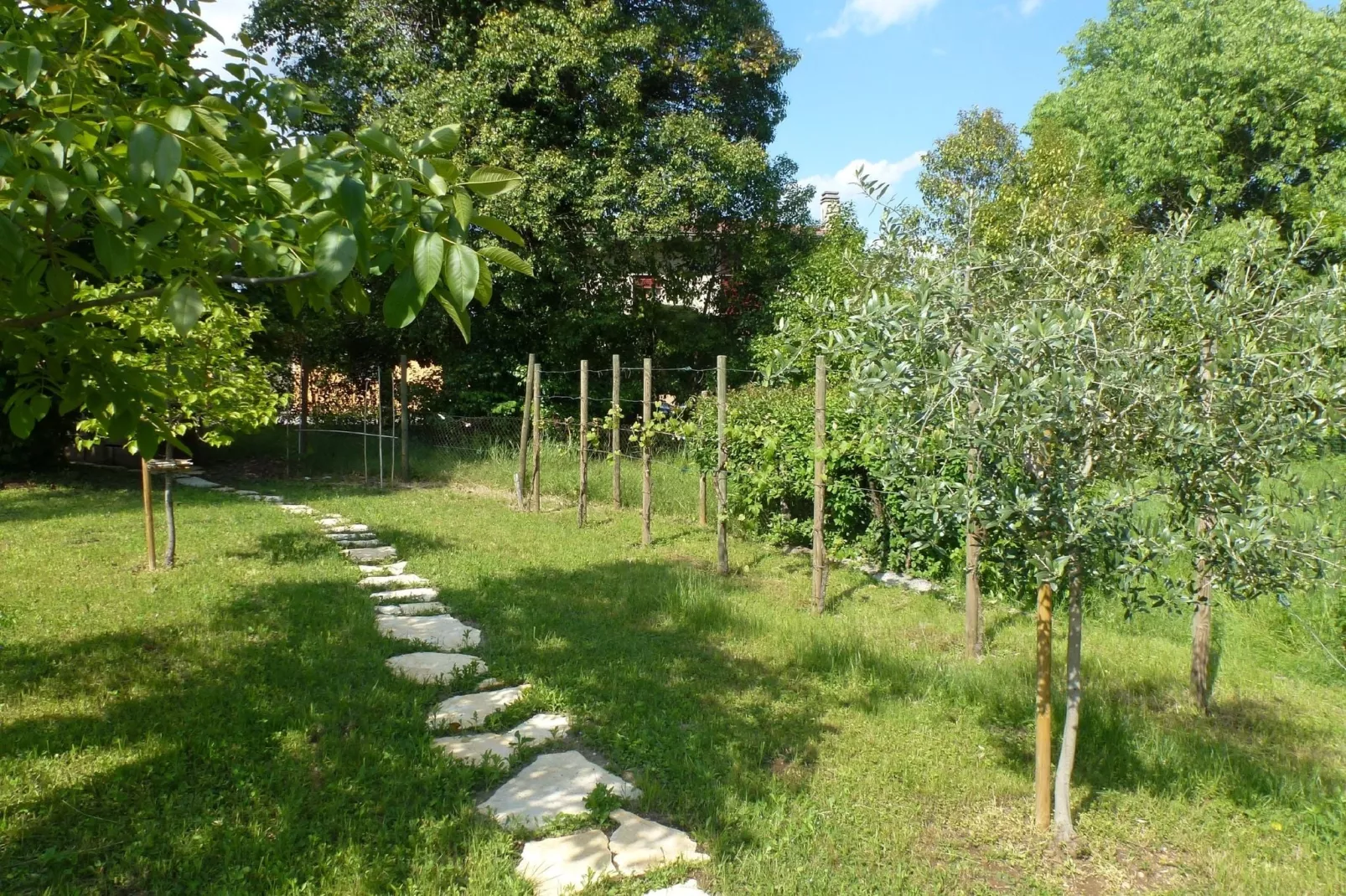 Casa sul Piave-Tuinen zomer