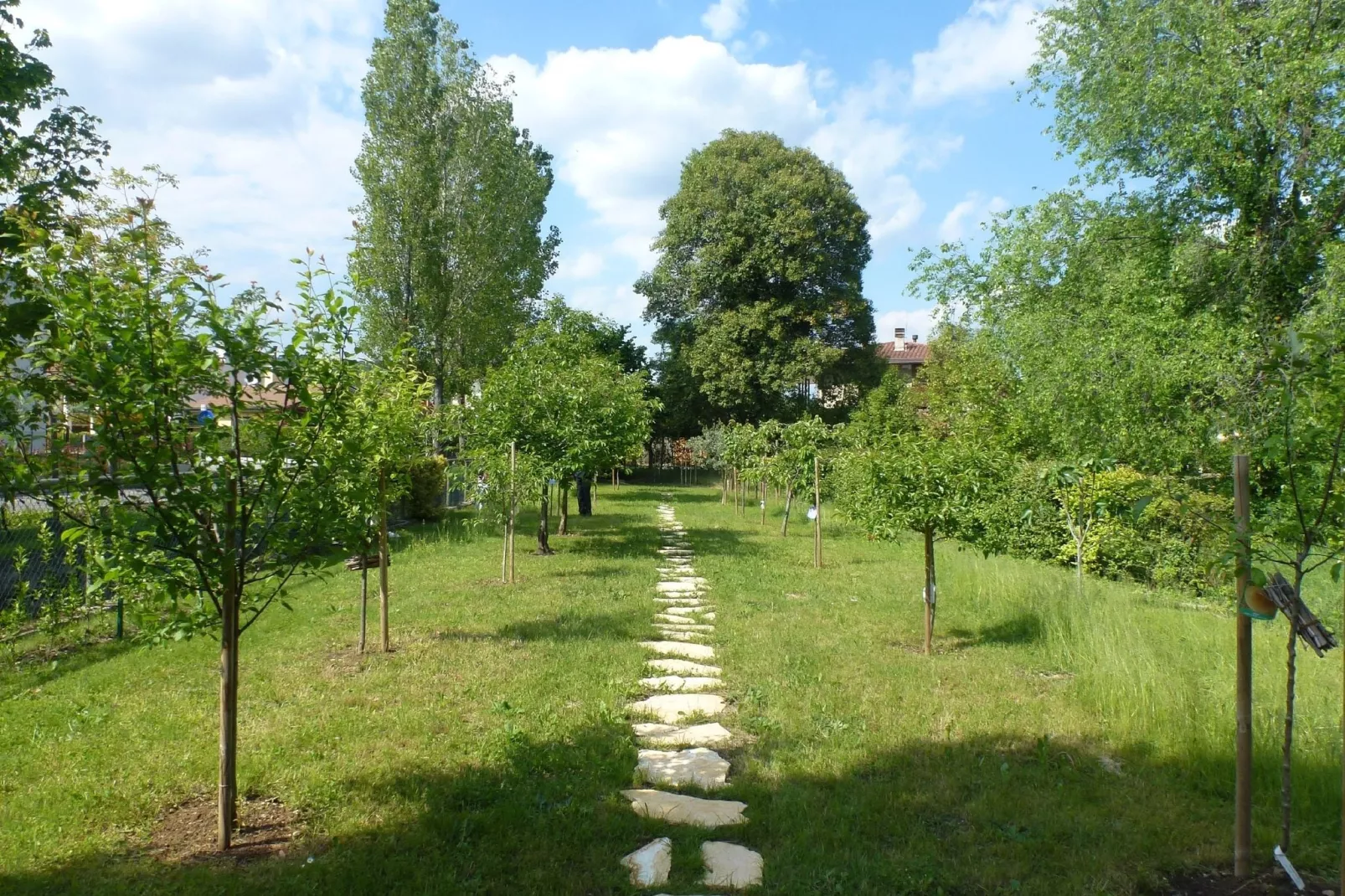 Casa sul Piave-Tuinen zomer