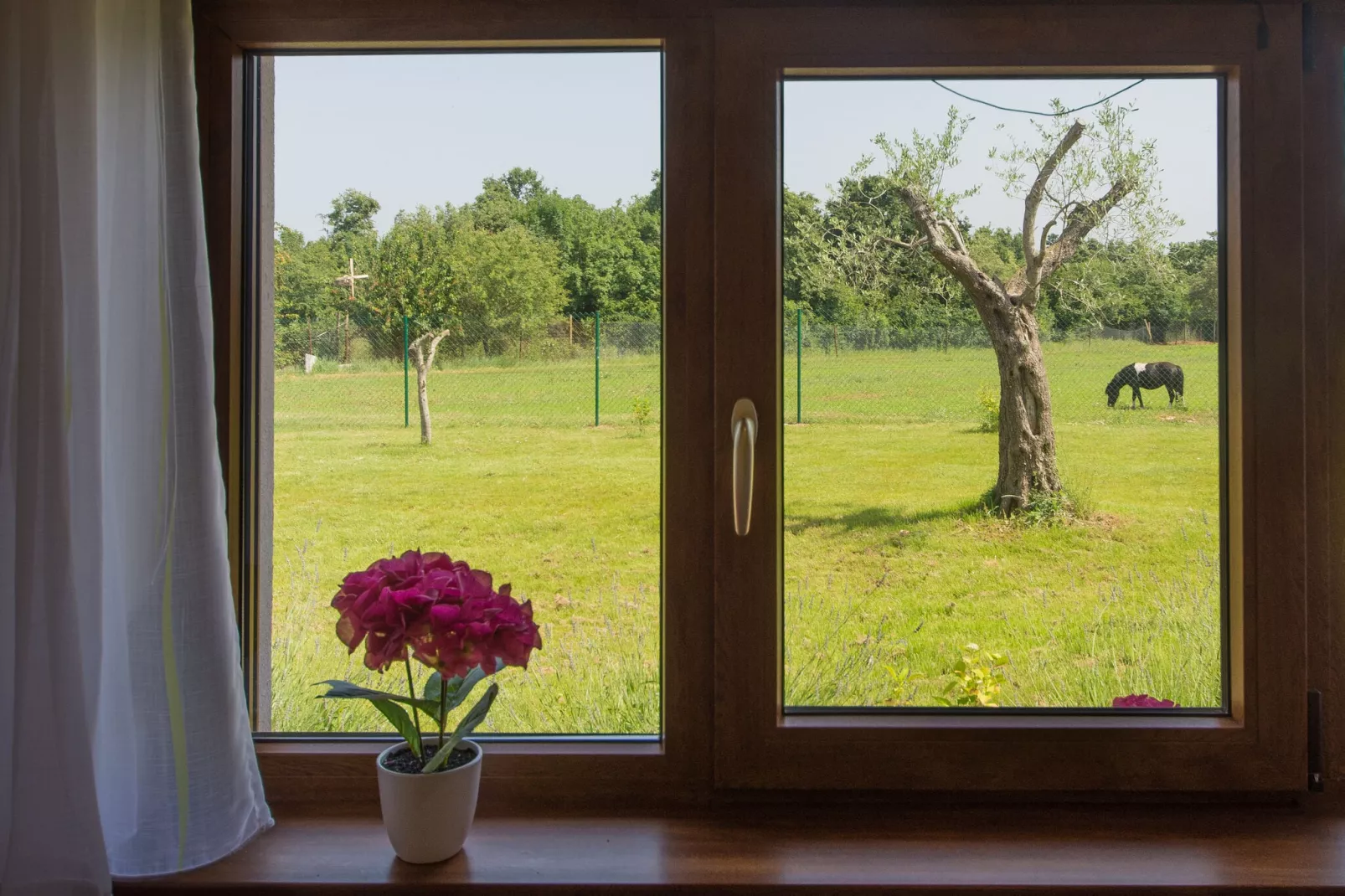 House Betiga 2-Uitzicht zomer