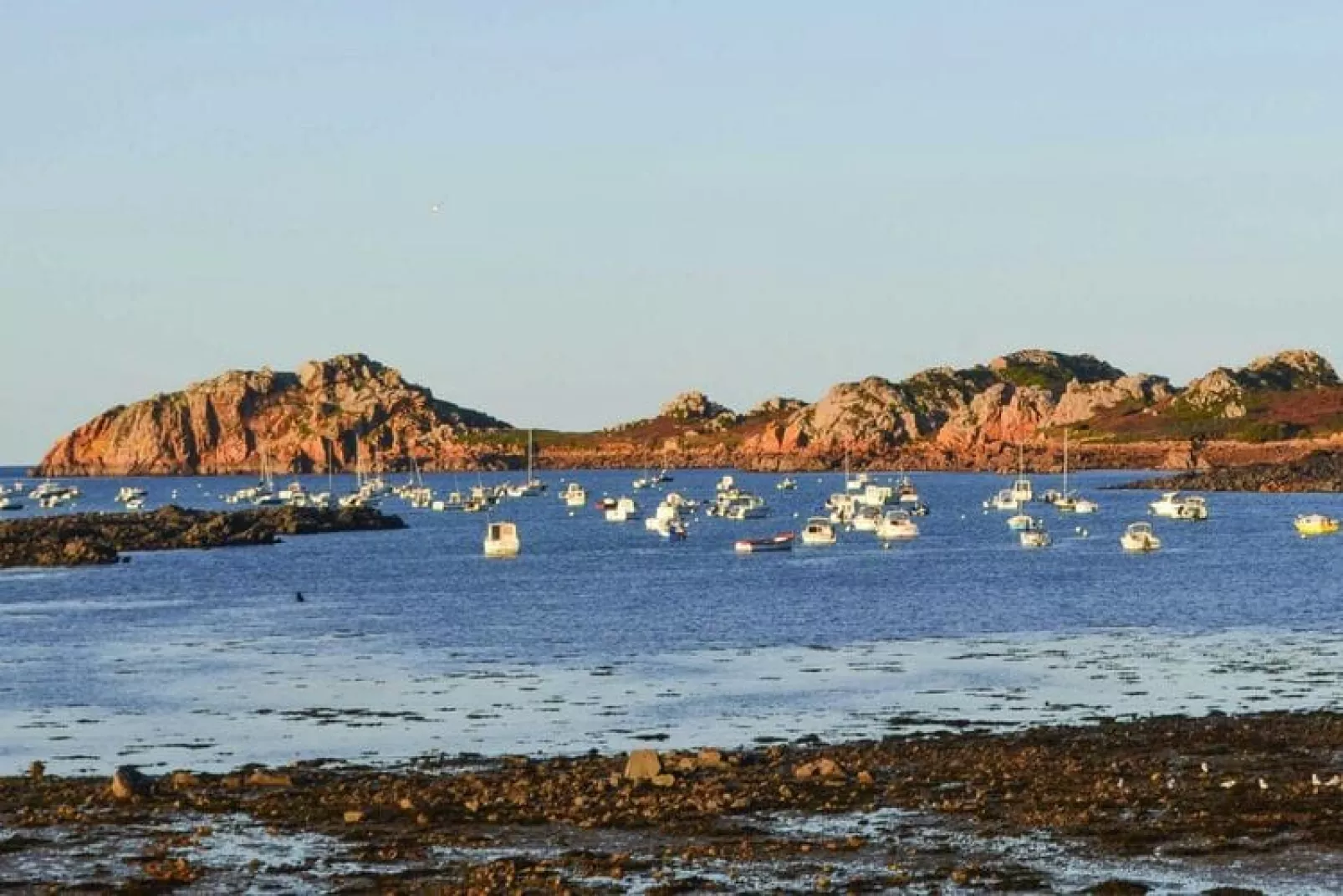 Holiday flat Plougasnou-Gebieden zomer 5km