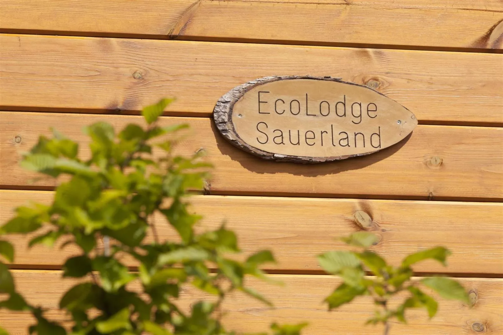 EcoLodge Sauerland 1-Sfeer