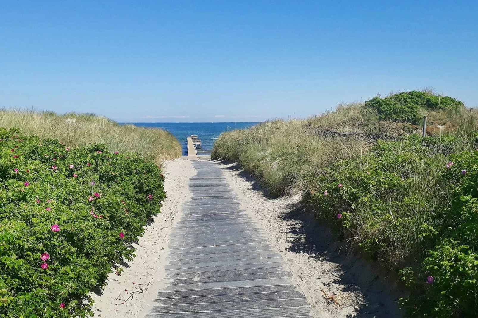 9 persoons vakantie huis in Jerup-By Traum-Uitzicht