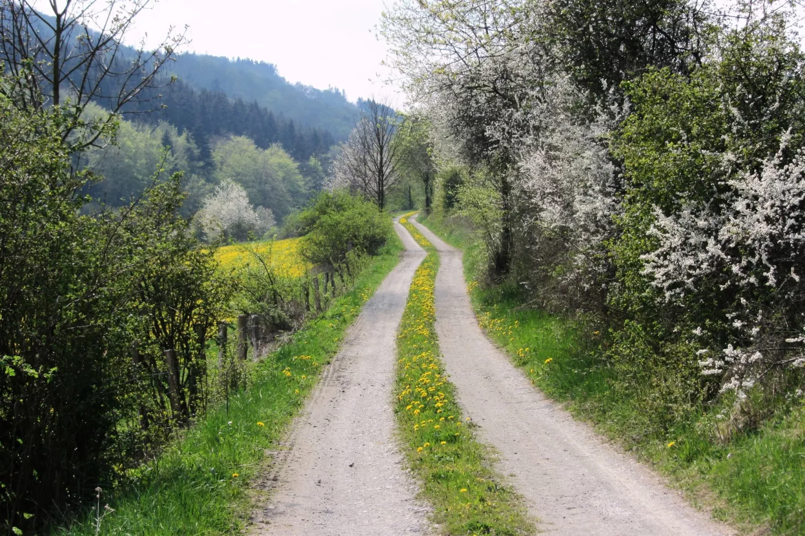 Küstelberg-Gebieden zomer 20km