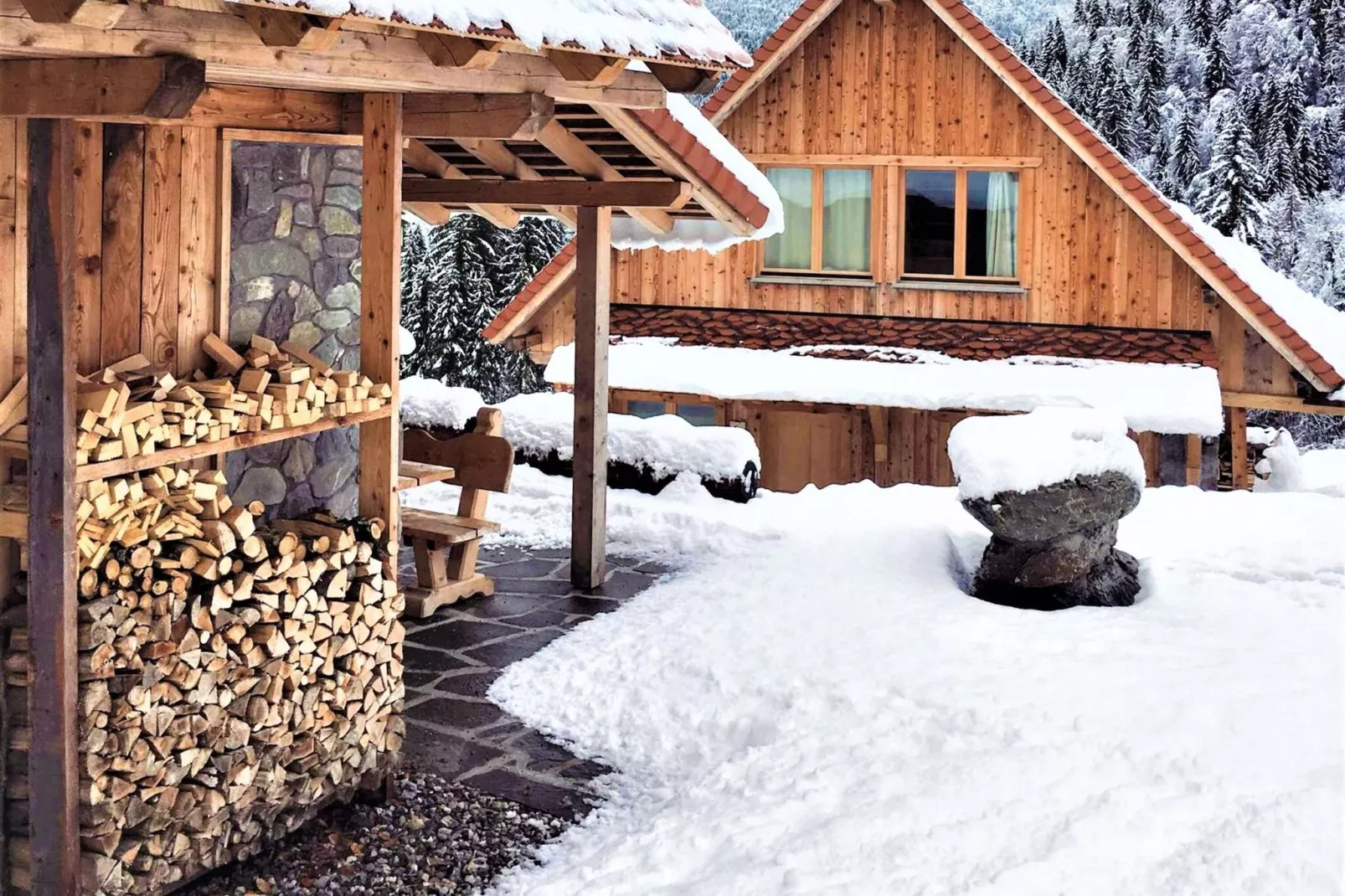 Chalet di Montagna-Exterieur winter