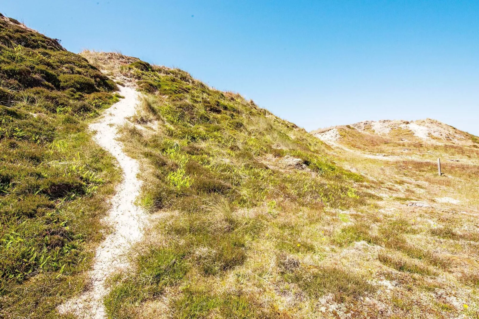 4 persoons vakantie huis in Fanø-By Traum-Uitzicht