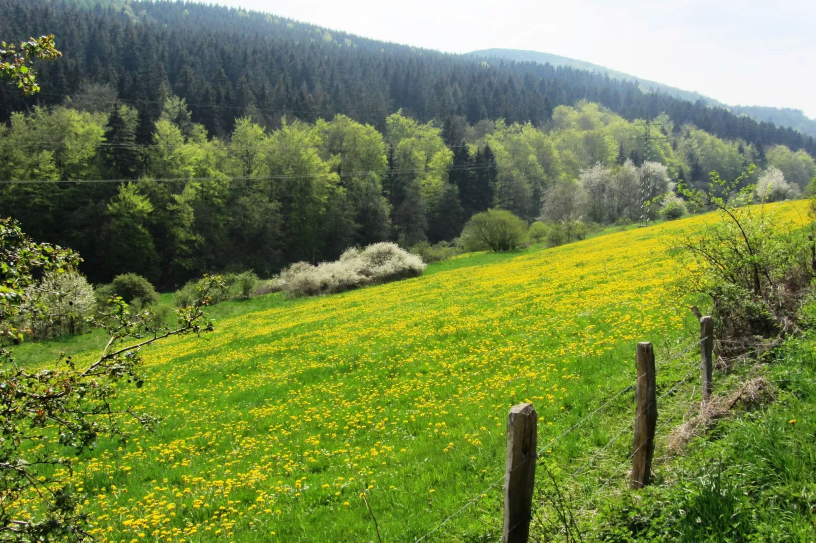 Küstelberg-Gebieden zomer 20km