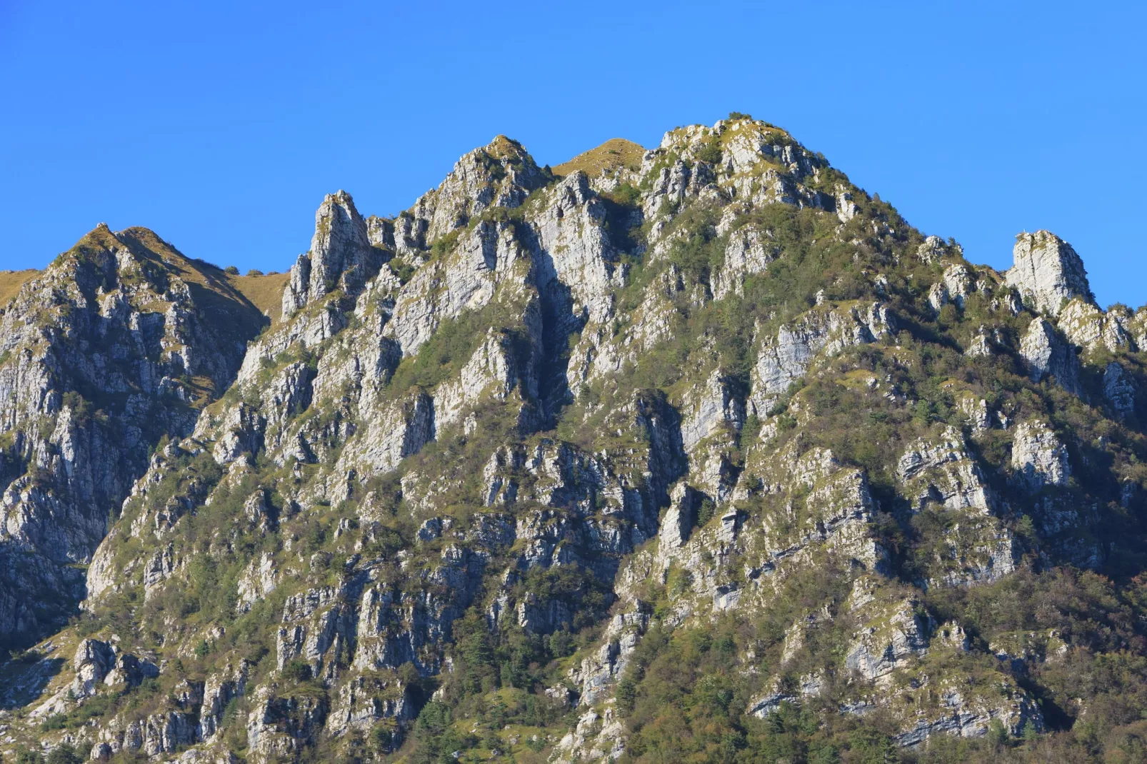 La Cucagna Sei-Gebieden zomer 1km