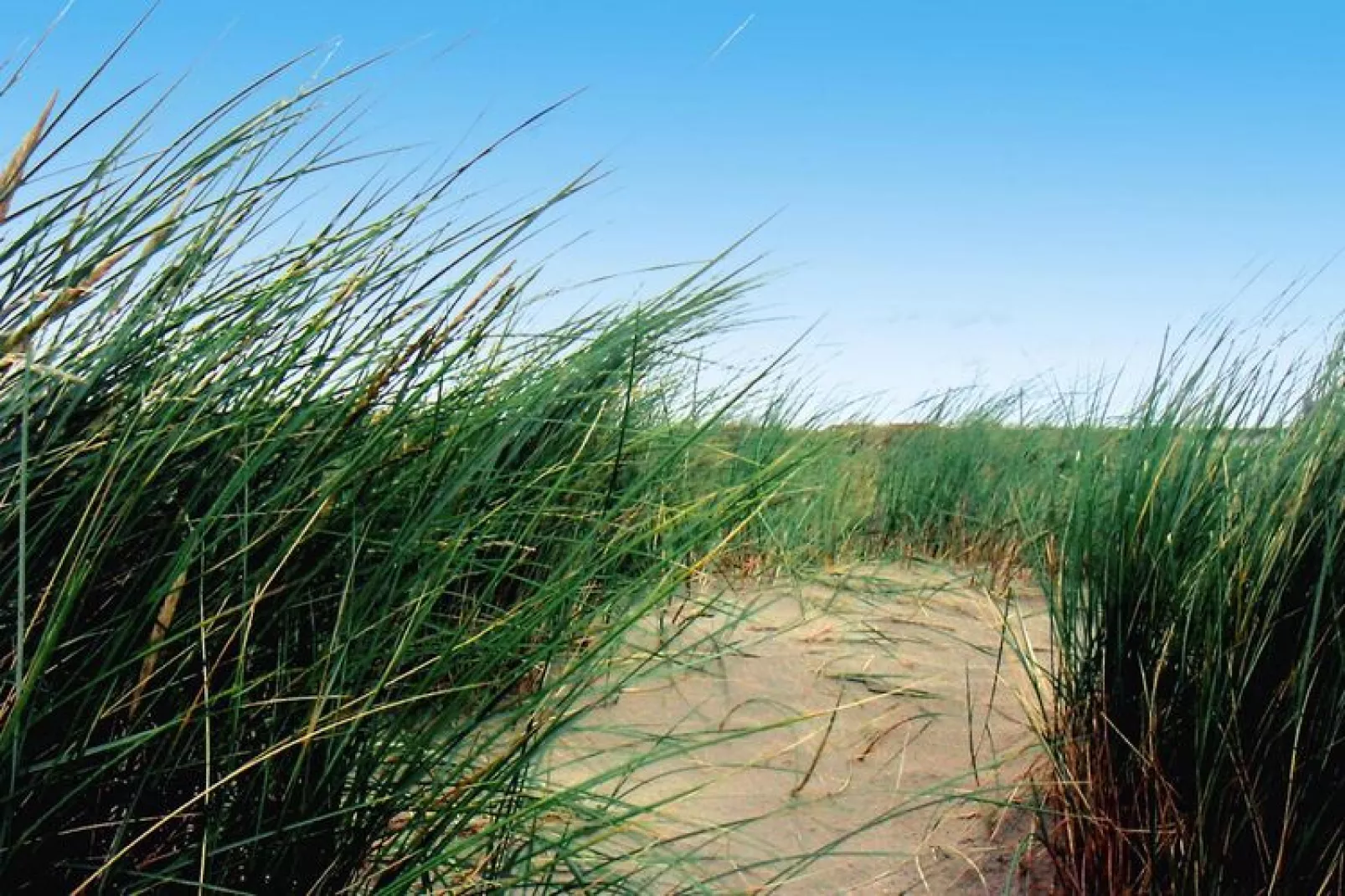 Ferienwohnung auf Norderney-Niet-getagd