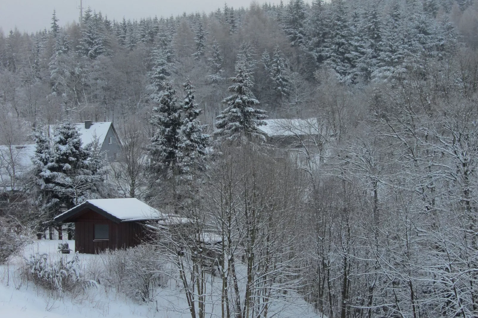 Küstelberg-Gebied winter 1km