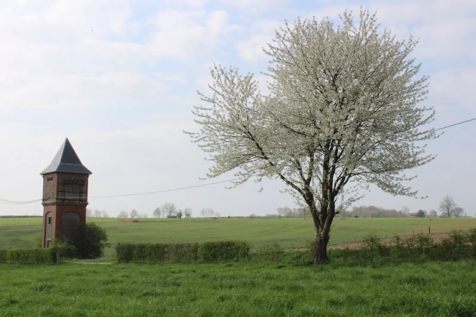 De Kleine Herberg-Uitzicht zomer