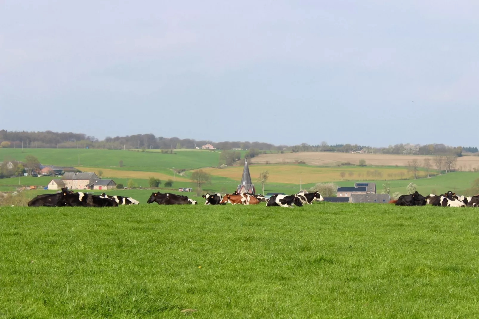 De Kleine Herberg-Gebieden zomer 1km