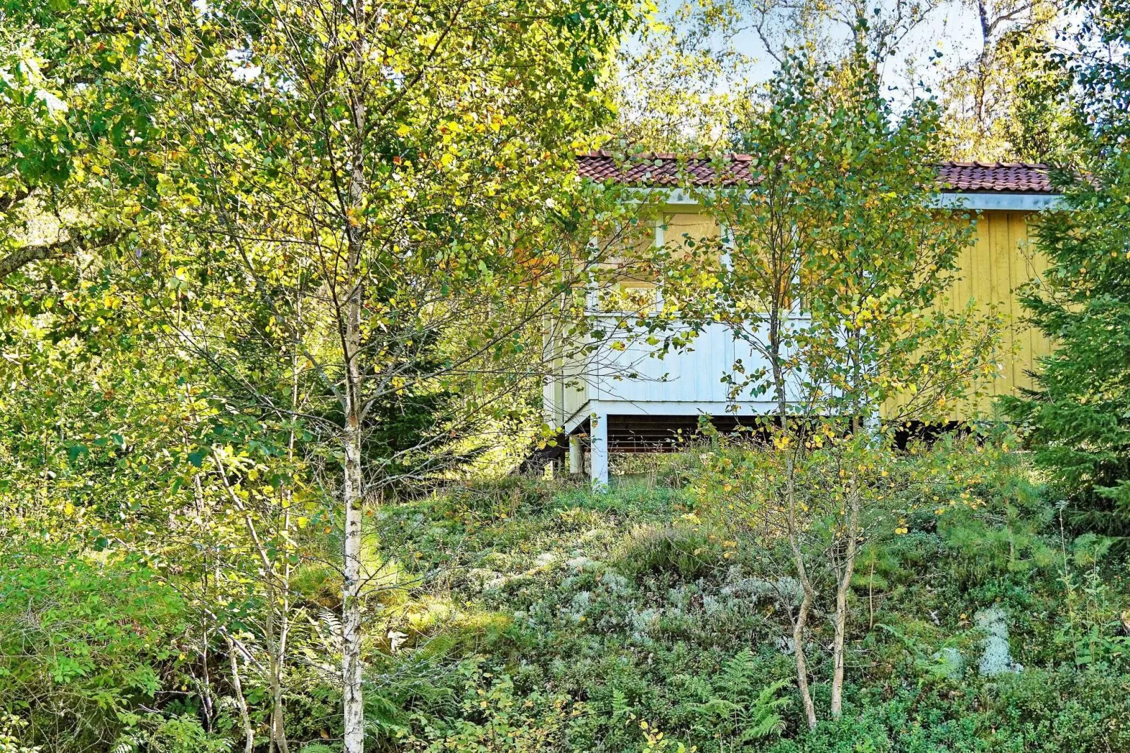 8 persoons vakantie huis in HENÅN-Buitenlucht