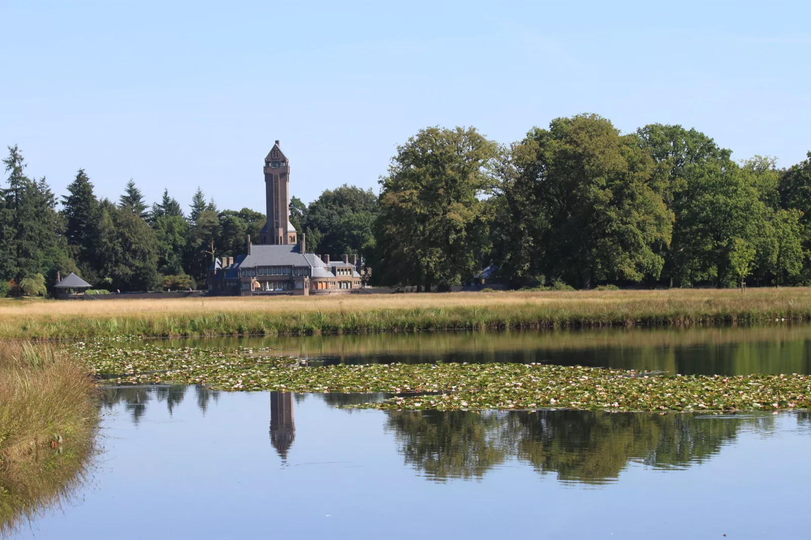 Reewold-Gebieden zomer 20km