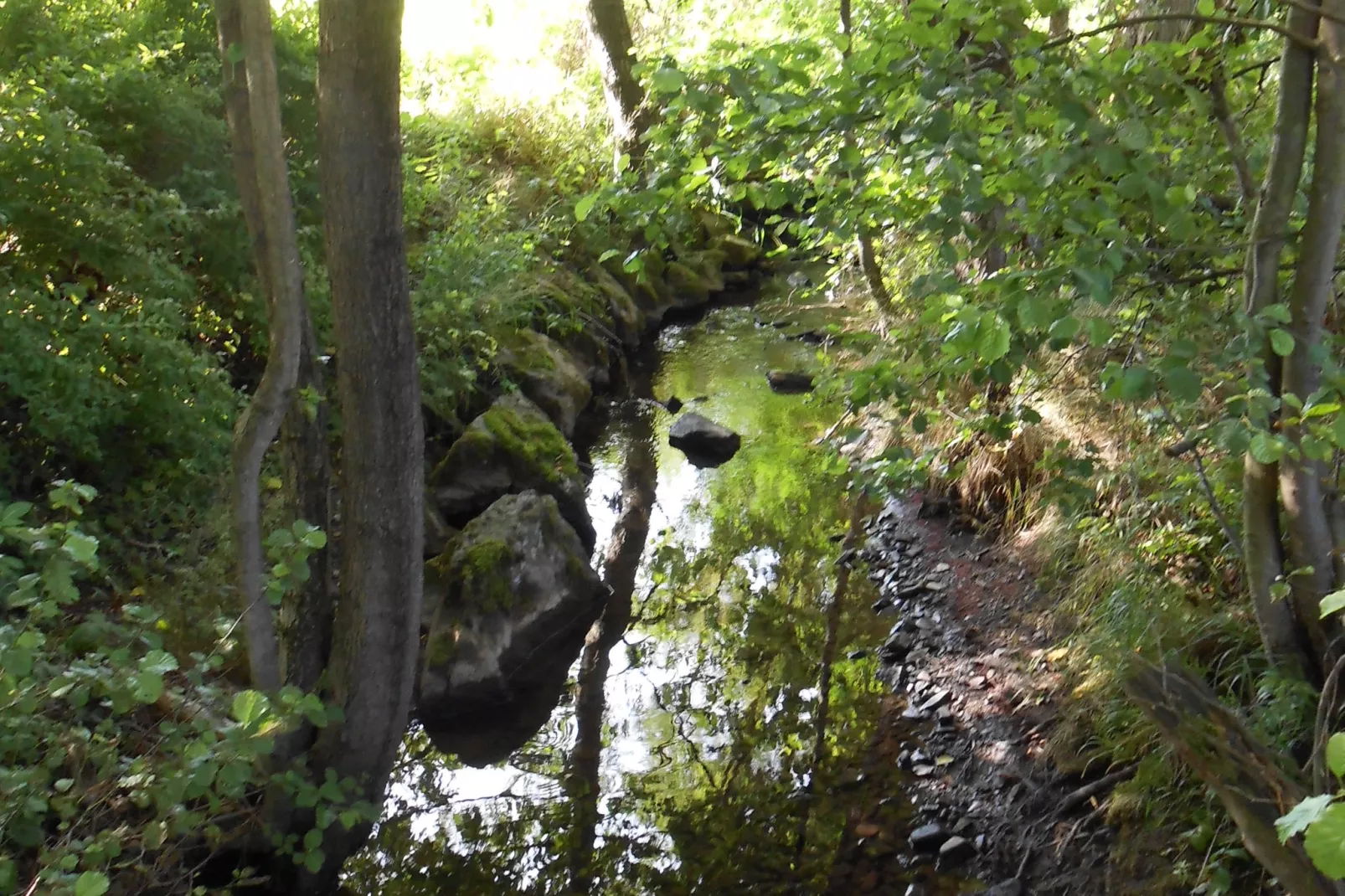 Im Sauerland-Gebieden zomer 5km