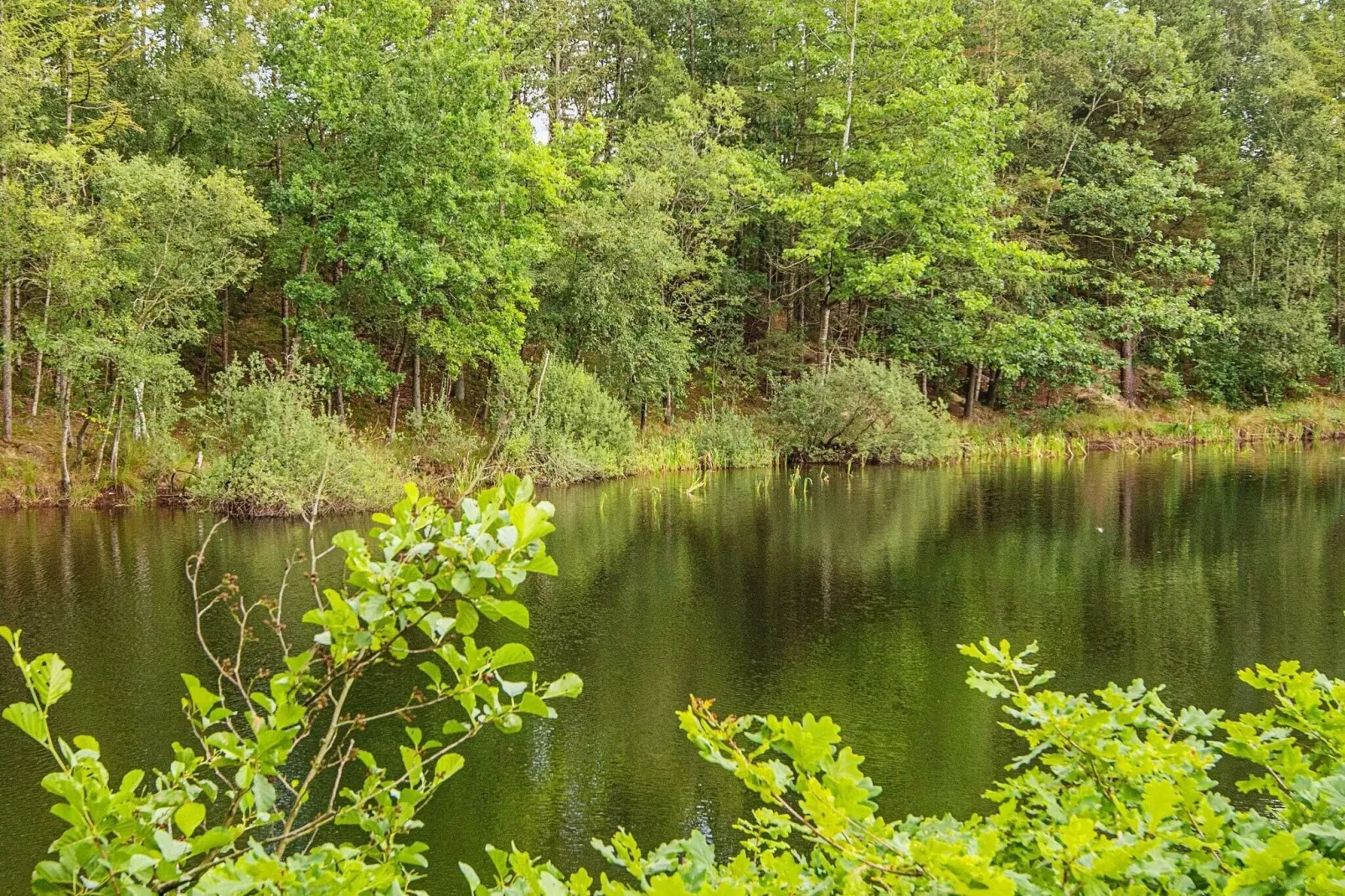 16 persoons vakantie huis in Skjern-By Traum-Niet-getagd