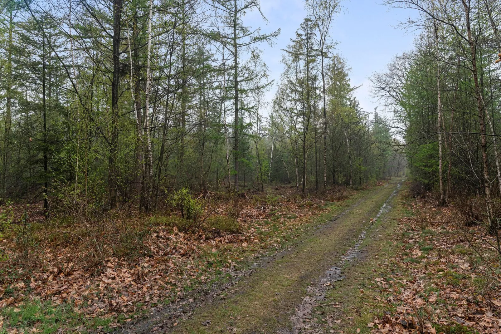 De Havik-Gebieden zomer 20km