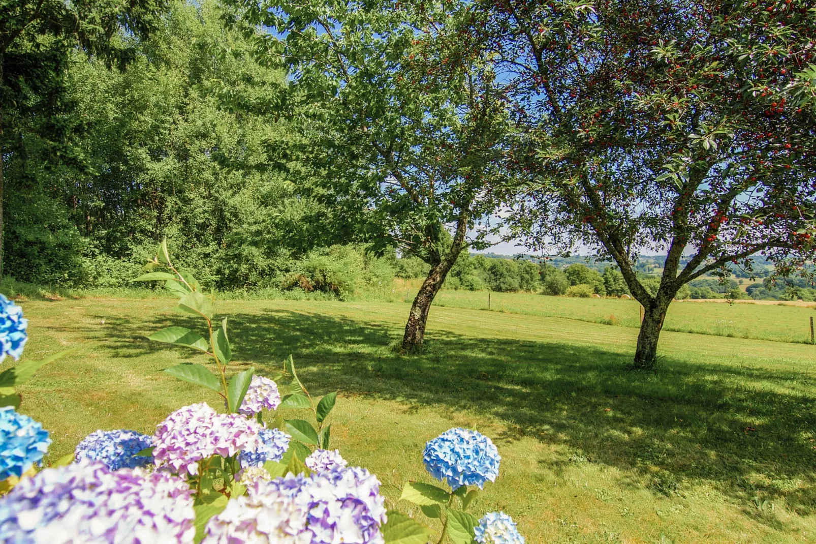 Le Haut Chambon-Uitzicht zomer