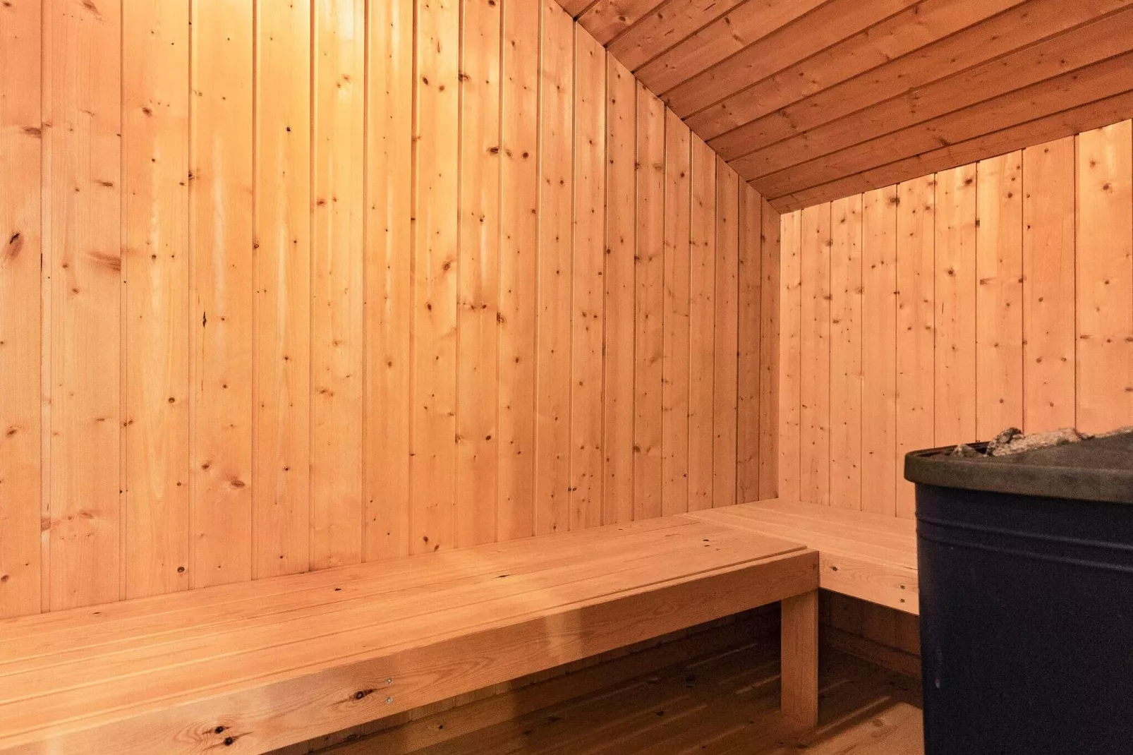 9 persoons vakantie huis in Løkken-Sauna