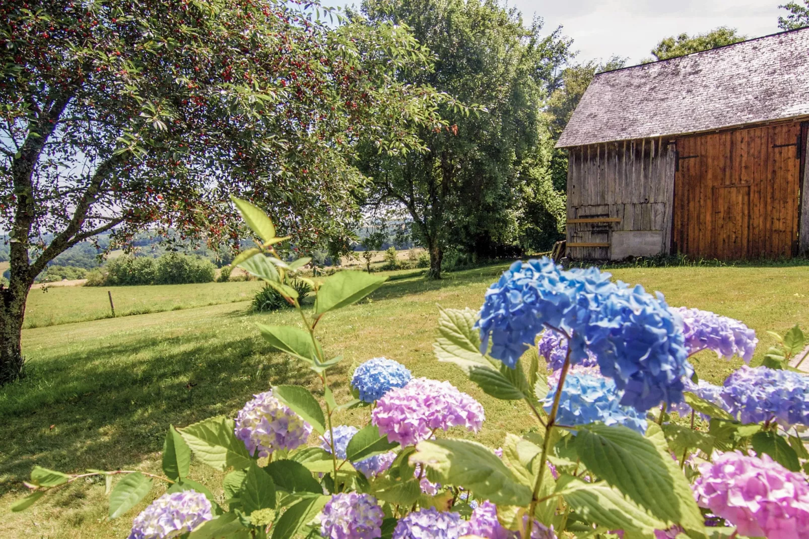 Le Haut Chambon-Uitzicht zomer