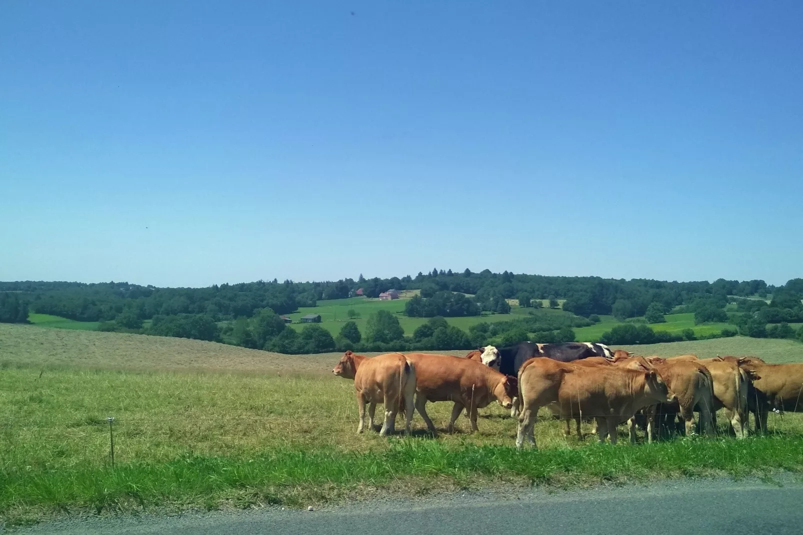 Le Haut Chambon-Gebieden zomer 1km