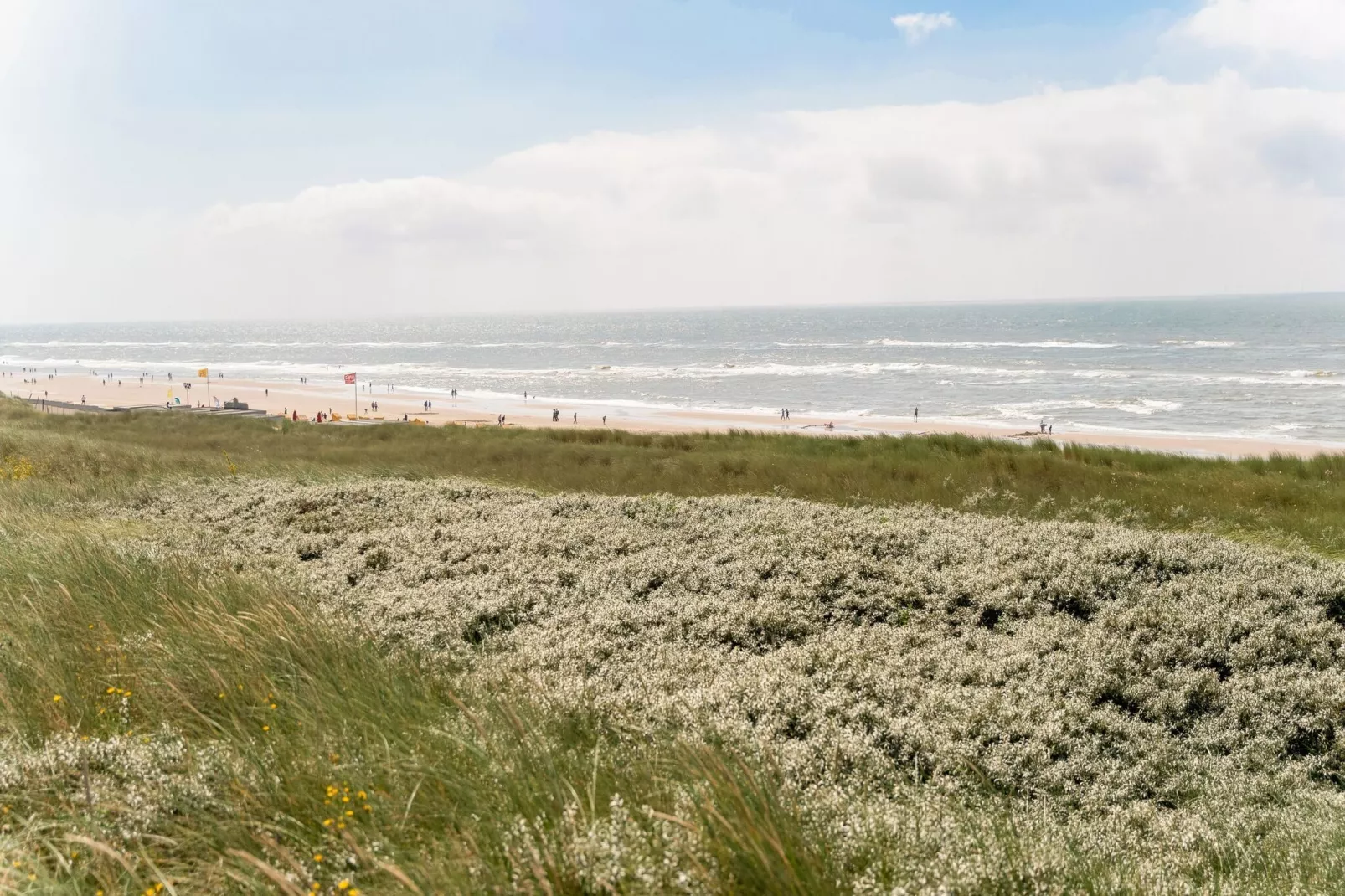 Duinvilla aan het Meer-Gebieden zomer 5km