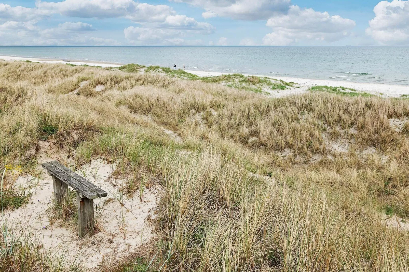 8 persoons vakantie huis in Ålbæk-By Traum-Niet-getagd