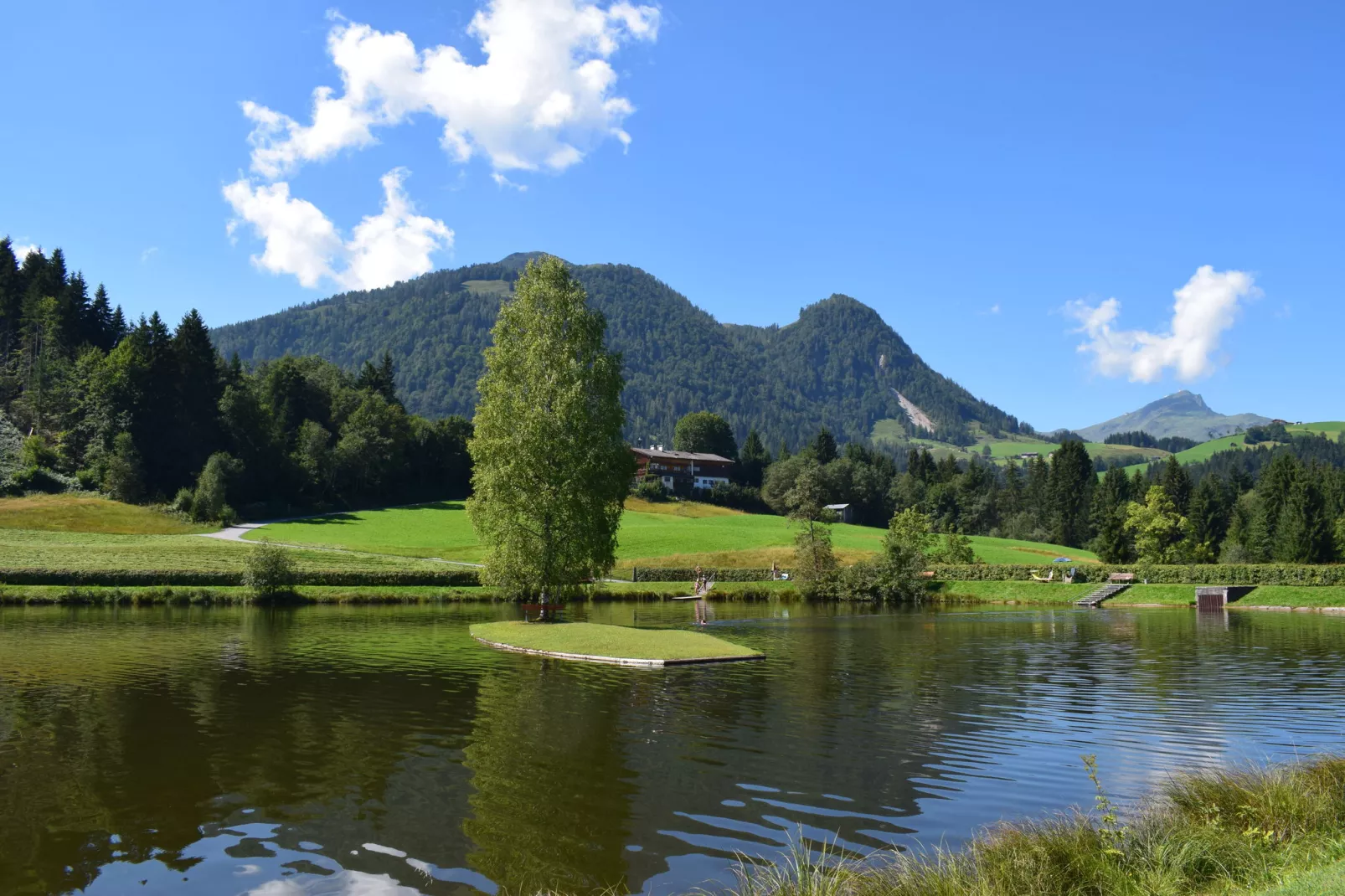 Apartment Wald 1 Fieberbrunn-Gebieden zomer 5km