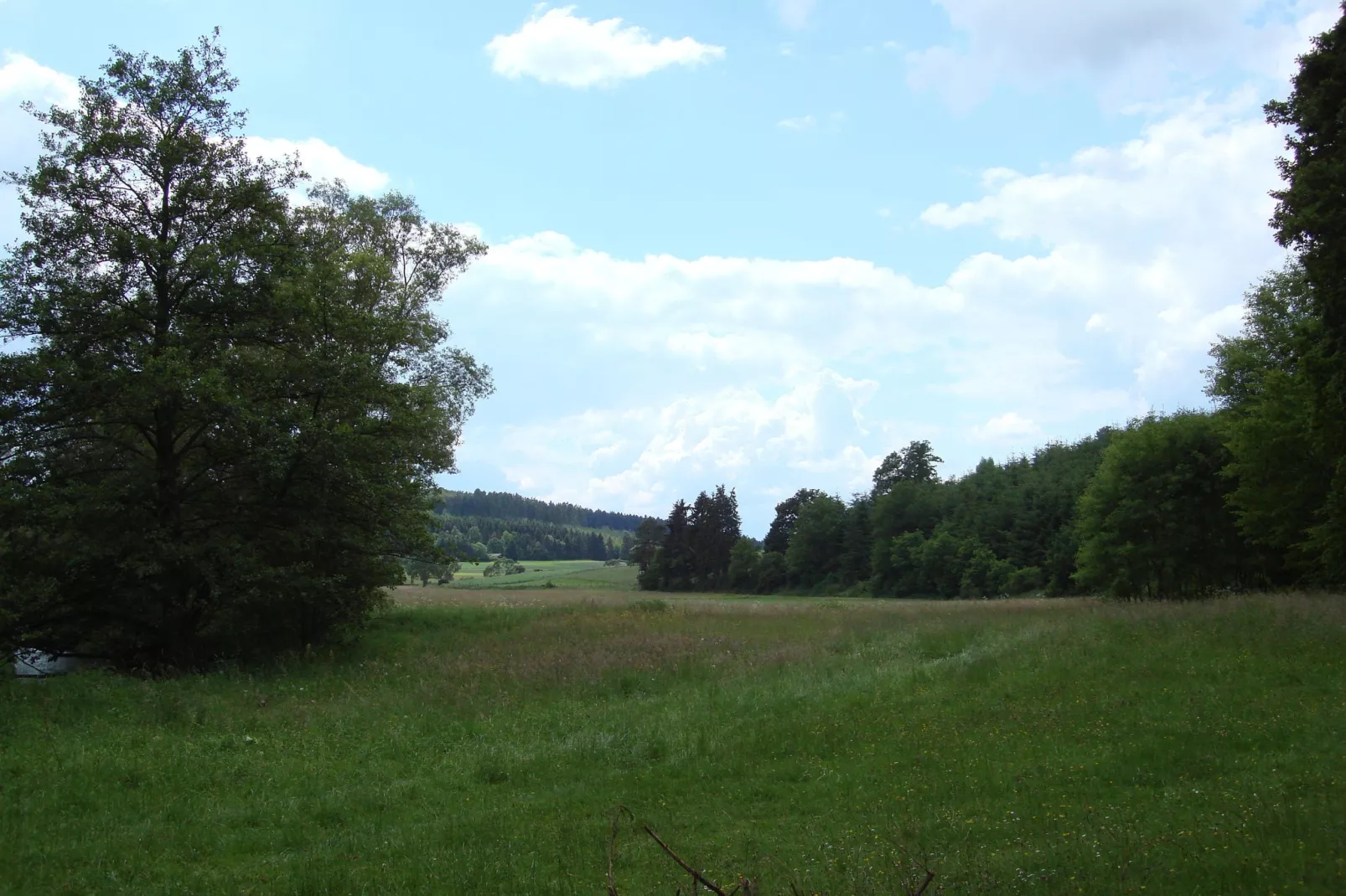 Köster-Gebieden zomer 5km