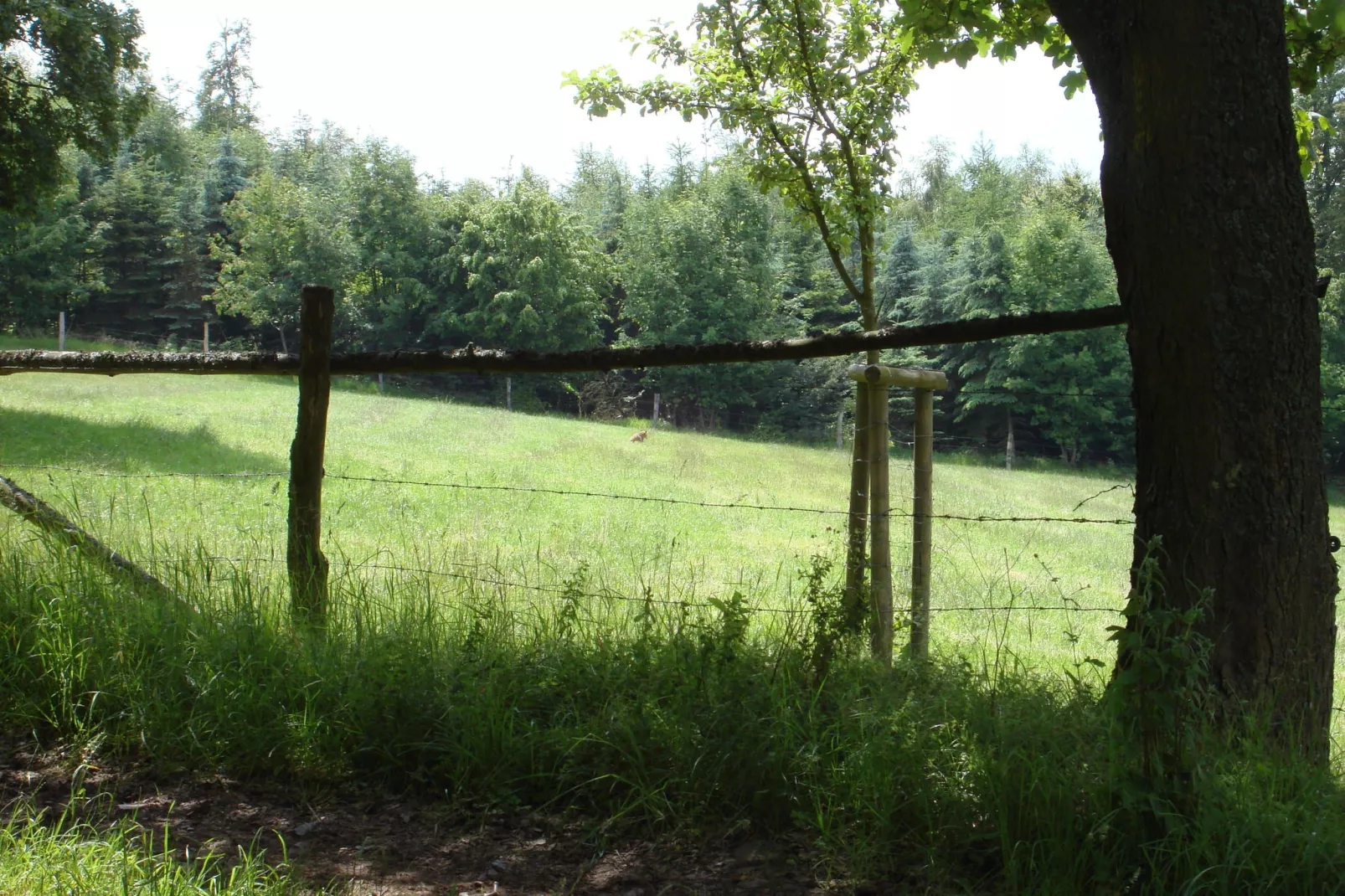 Köster-Gebieden zomer 5km