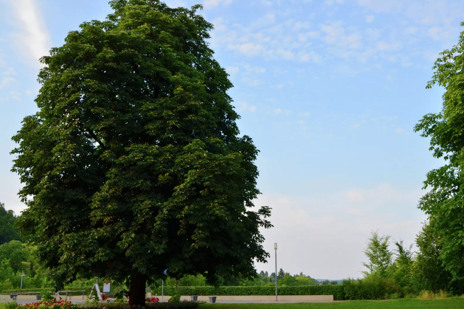 Am Ferienbauernhof - FW 1 und 5-Gebieden zomer 5km