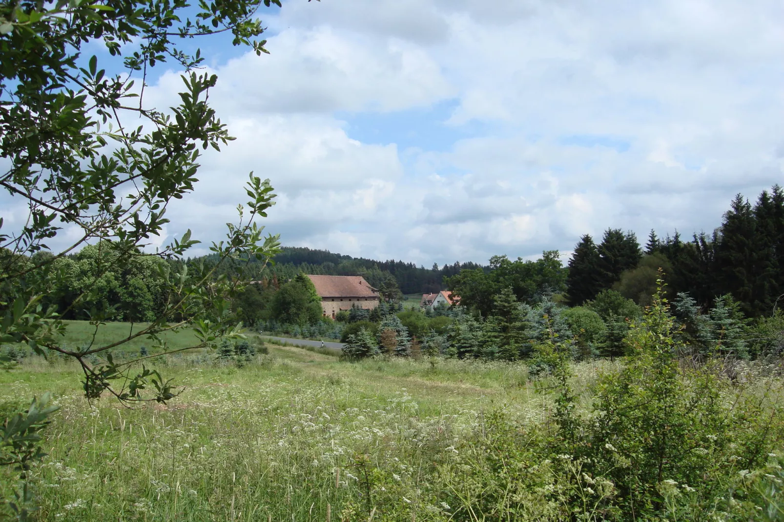 Köster-Gebieden zomer 5km