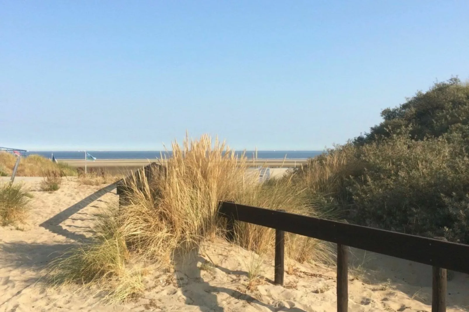 Hoge Weide 64-Gebieden zomer 1km