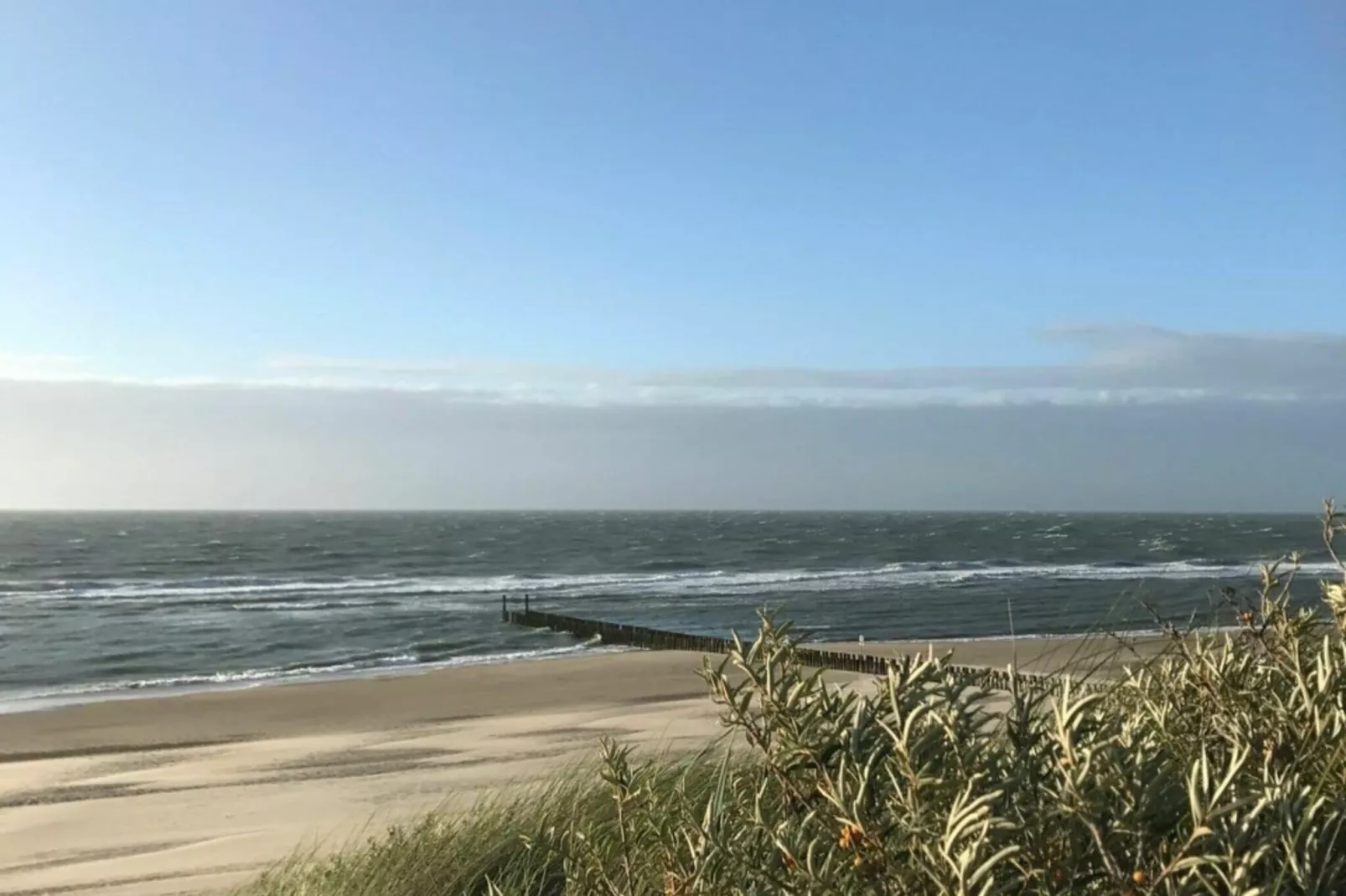 Hoge Weide 64-Gebieden zomer 1km