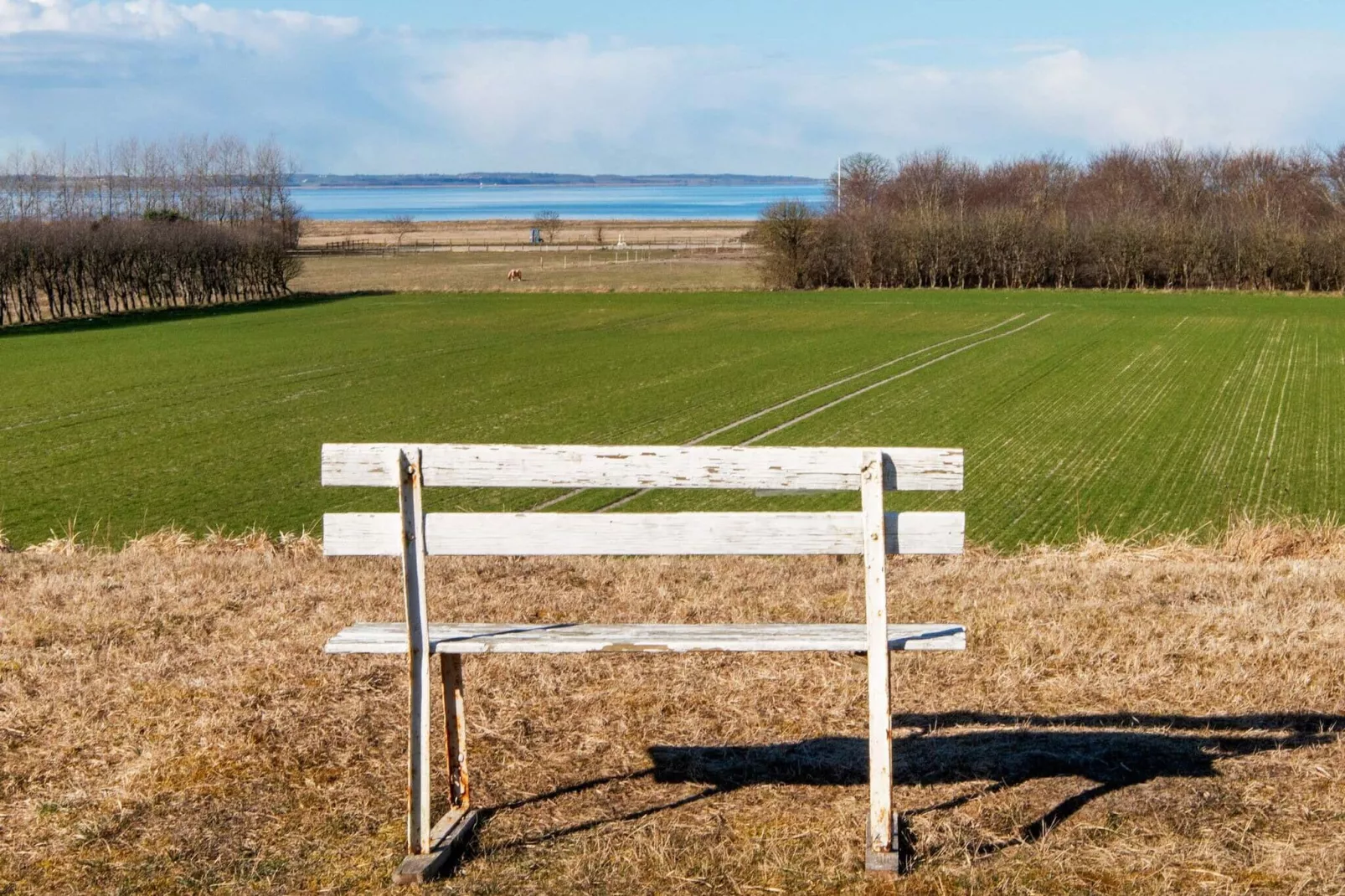 4 persoons vakantie huis in Nibe-By Traum-Niet-getagd