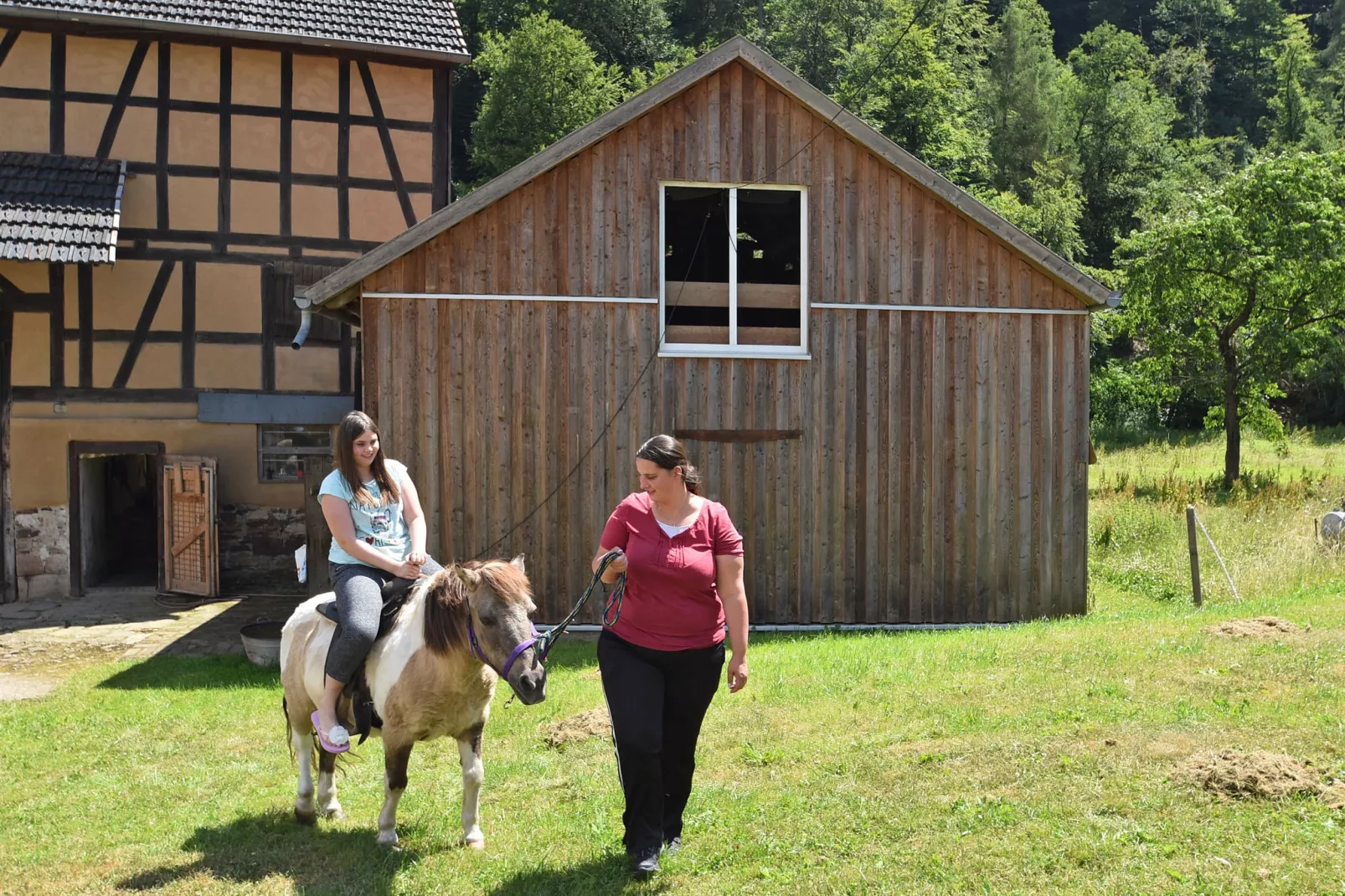 Am Ferienbauernhof - FW 7-Gebieden zomer 1km